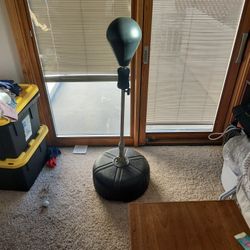 Everlast Reflex Punching Bag