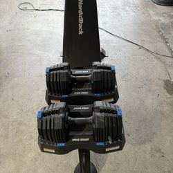 Bench and free Weights 