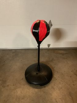 Punching Bag