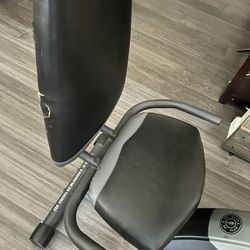 Golds Gym Exercise Bike
