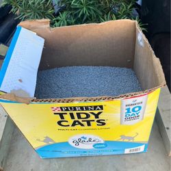 Food on your shelf, litter box and cat litter.