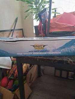 Unity Strut Assembly