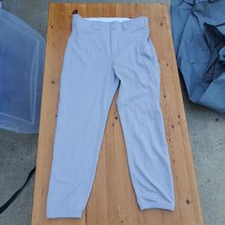 Large Nike Baseball Pants