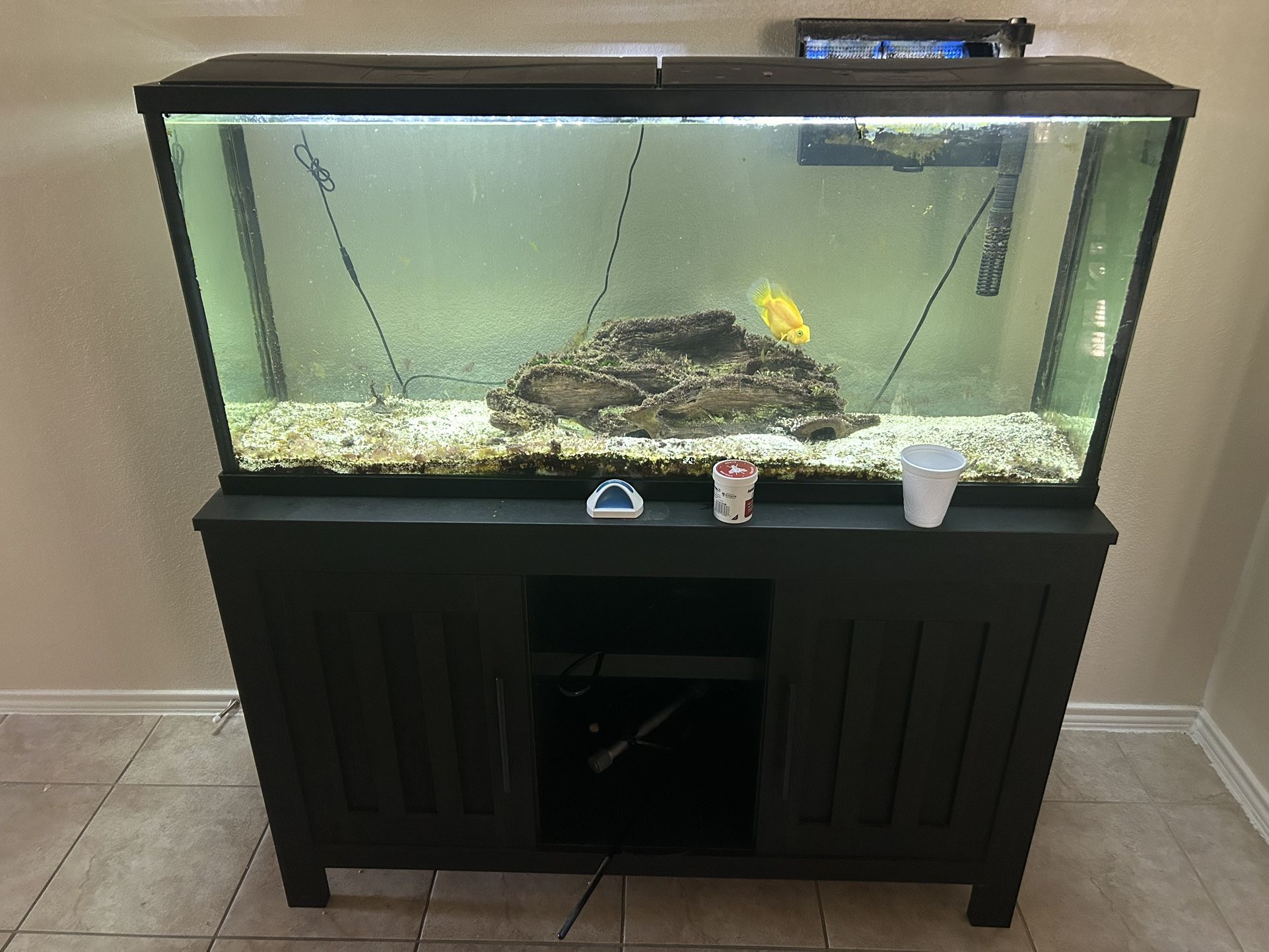 55 Gallon Fish Tank With Stand for Sale in Pflugerville, TX - OfferUp