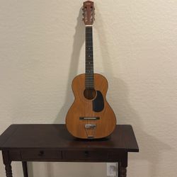 Gremlin Acoustic Guitar