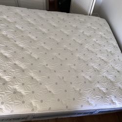 Queen Mattress And Box Spring- Serta Perfect sleeper Bridgeside