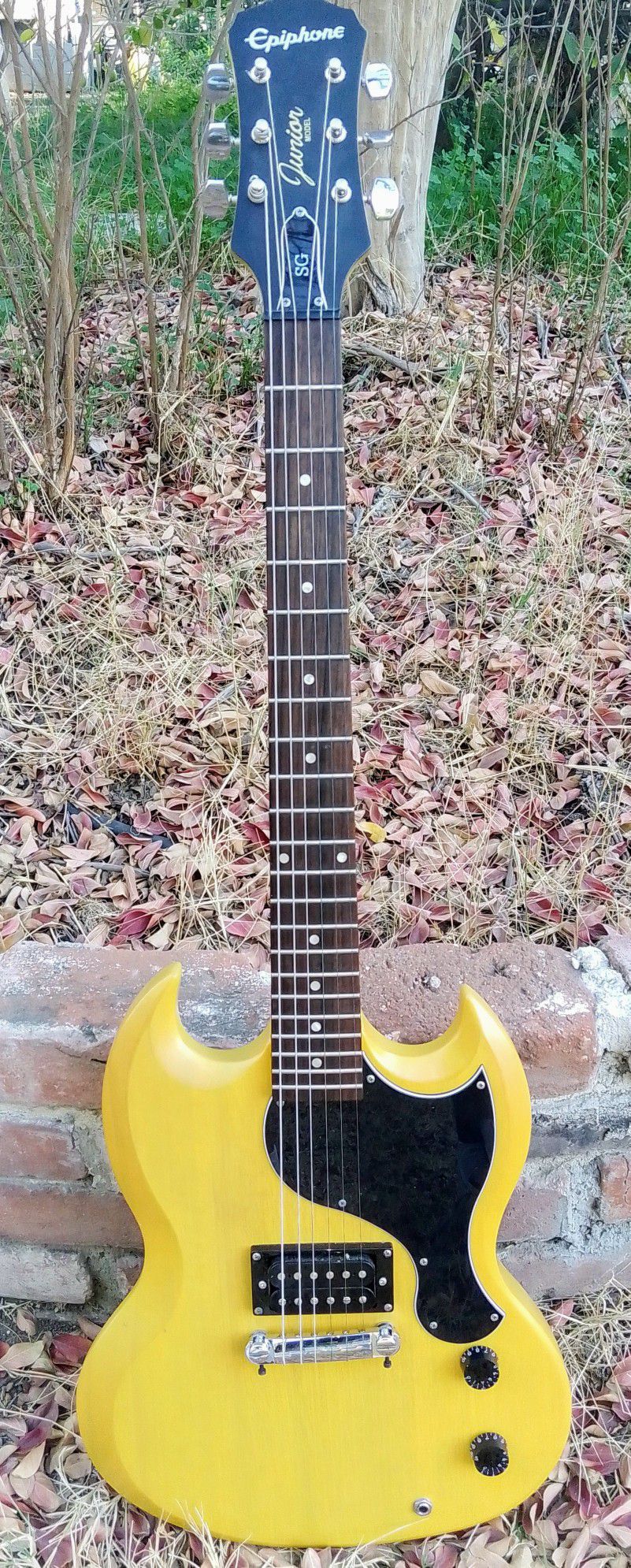 Rare TV Yellow Epiphone SG Junior Guitar & Gigbag