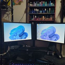 EVGA 200-LM-1700-KR InterView Monitor Dual 17-Inch Widescreen Monitor LCD 1400X900 500