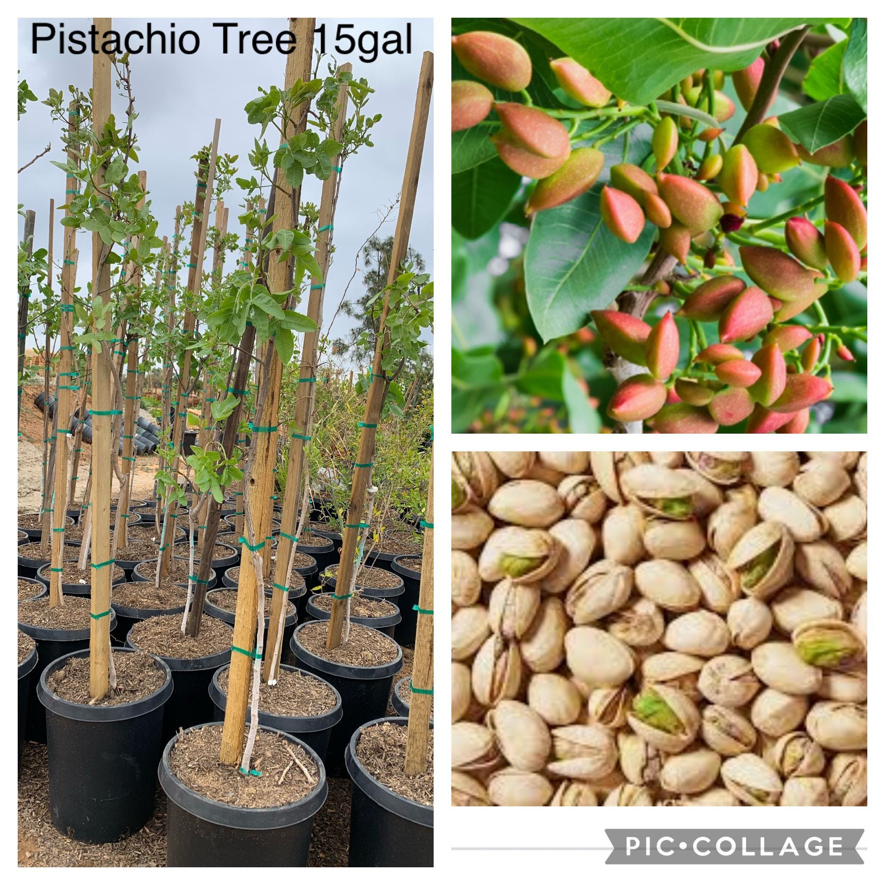 d7750a6a3f1e48c48ac1f862ccd800