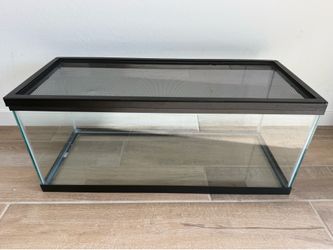 20 gallon tank