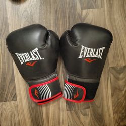 Everlast Boxing Gloves
