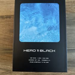 Gopro 