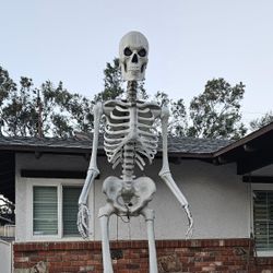 Home Depot Skeleton Needs A Home