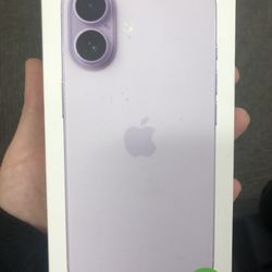 Ip 17 