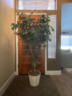 6ft decorative house tree