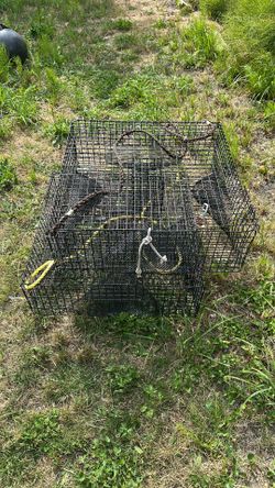 Shrimp pots (New)