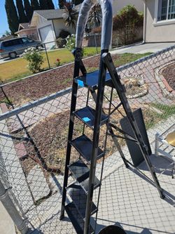 6 Step Ladder