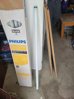 Light Bulbs