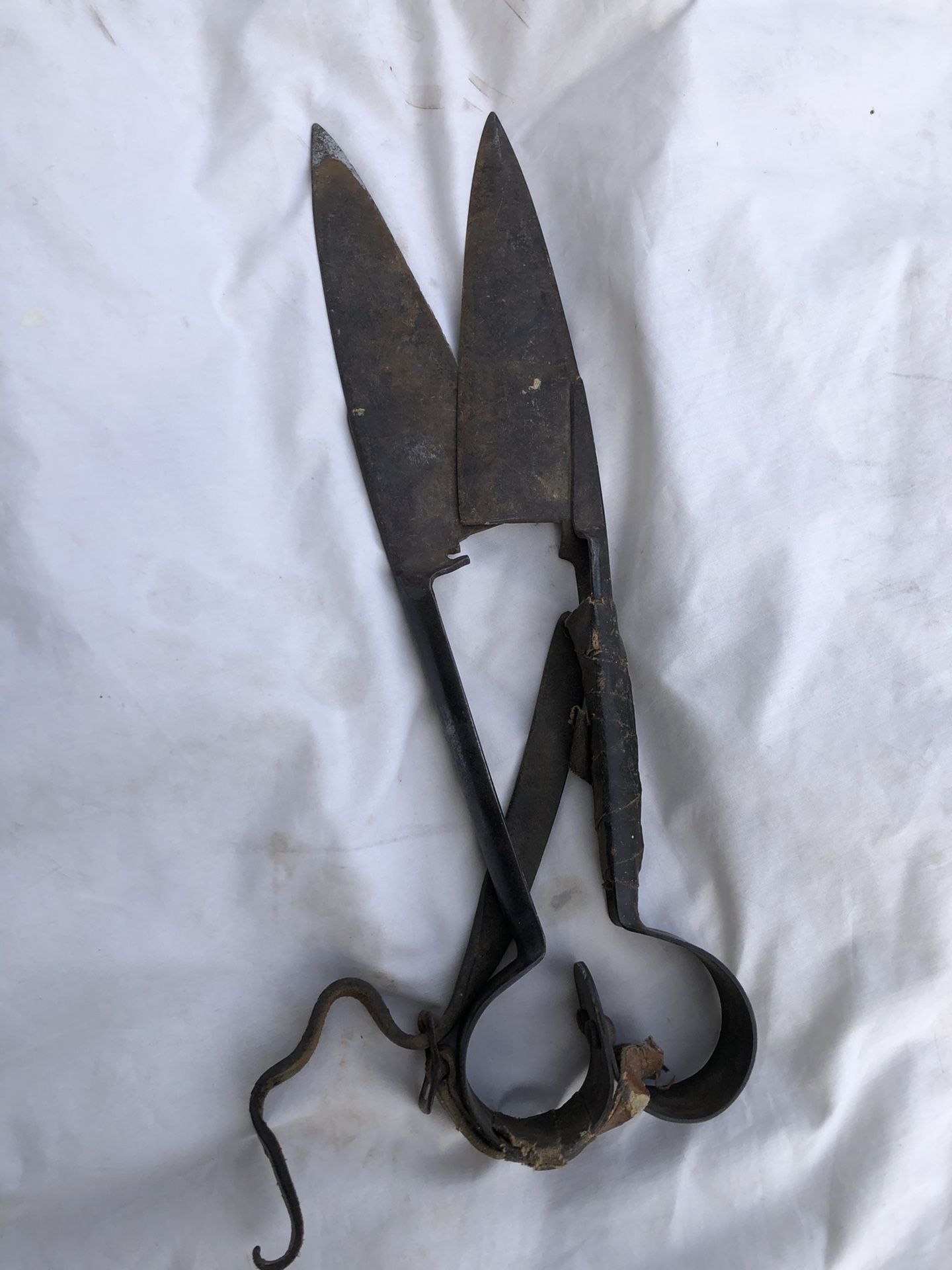 Vintage sheep trimming shears