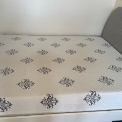 Queen Mattress and frames (free)