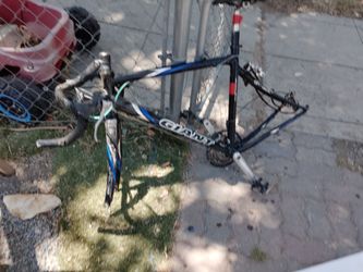 700 series Giant carbon fiber frame
