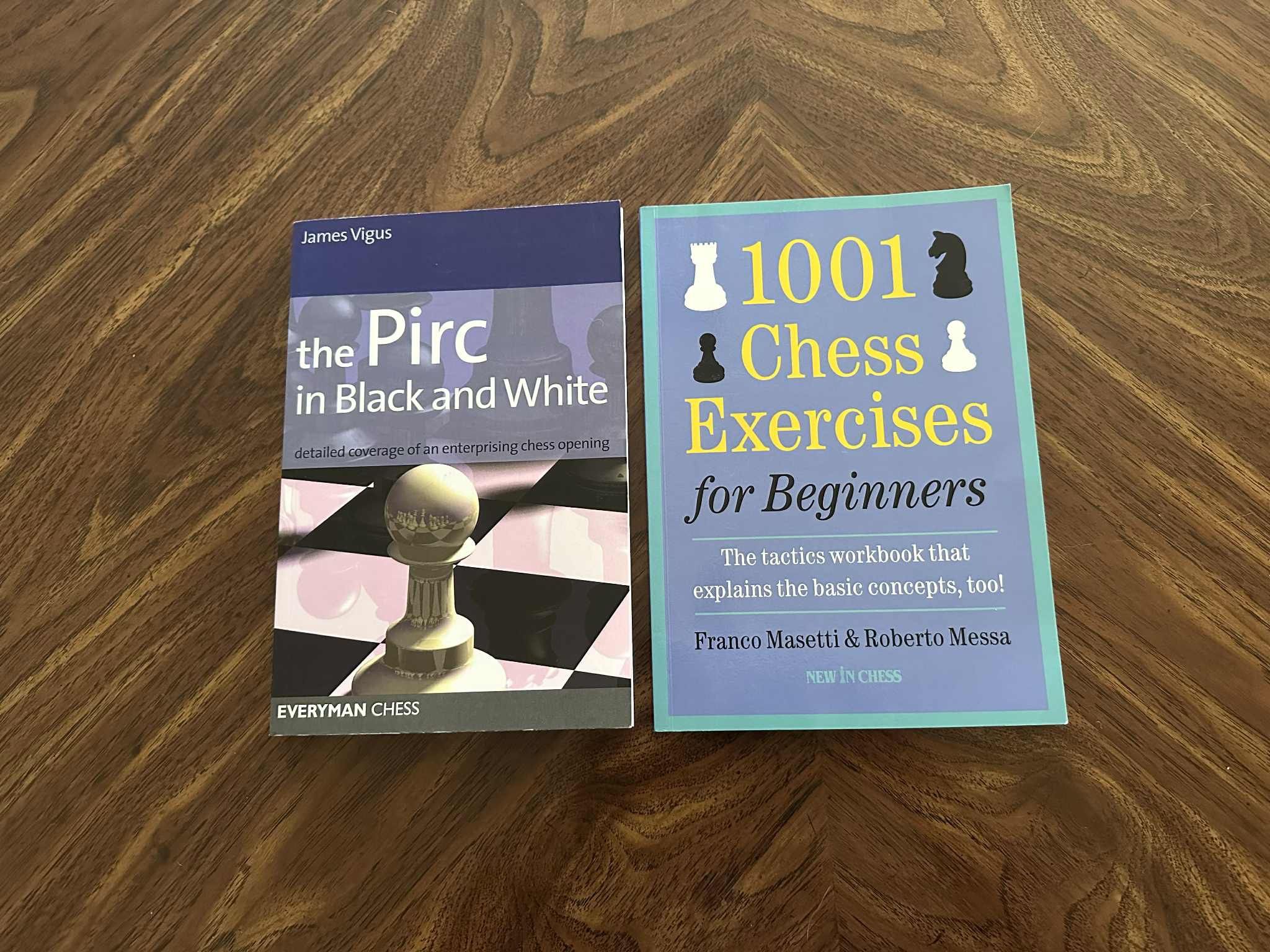 2 Chess books- LIKE NEW!