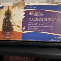 Christmas Tree *Set Of 2* - Indoor And Outdoor 