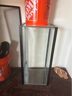 20 gallon long tank