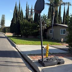 “FREE” Adjustable Basketball Hoop. Pick Up Only.