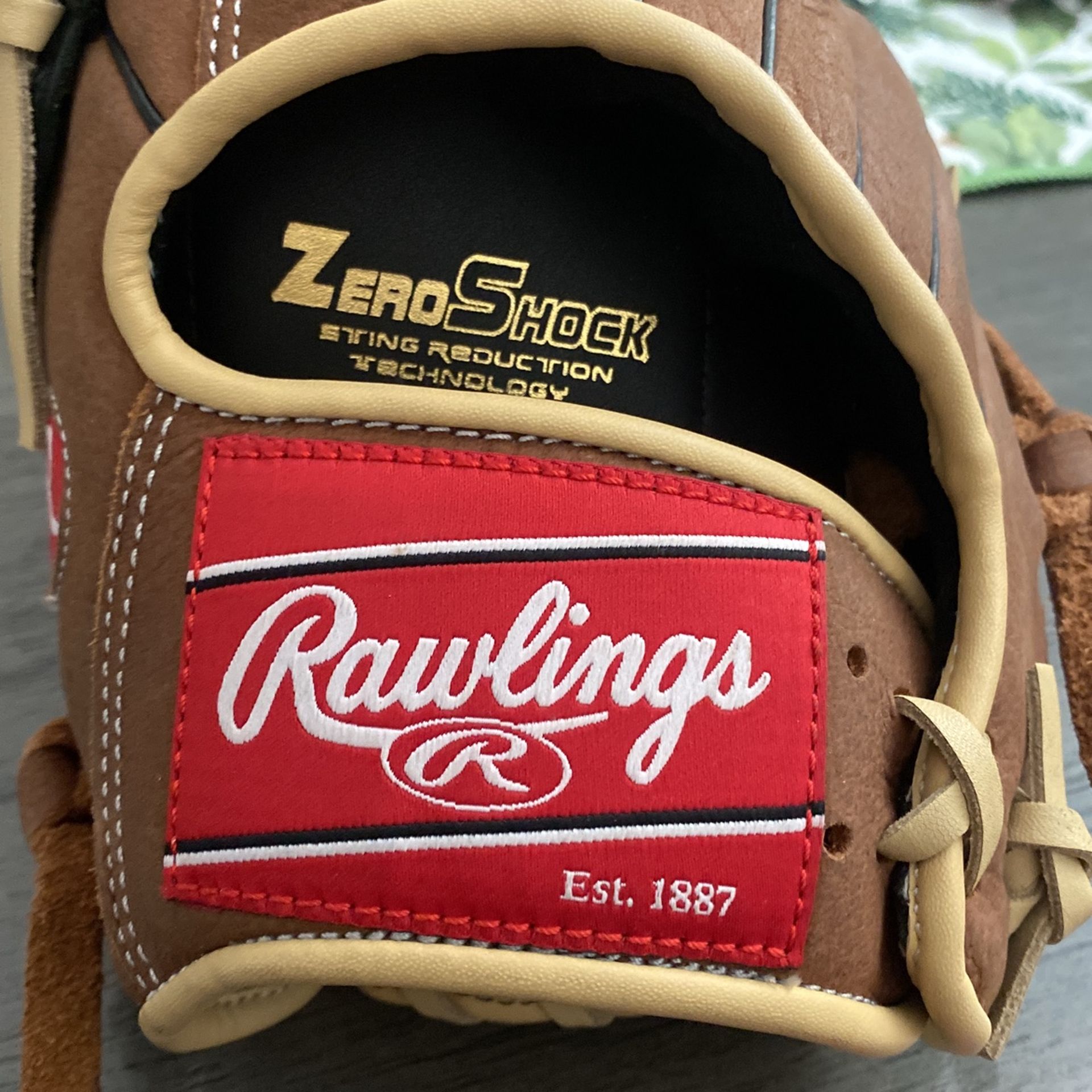Rawlings lefty golden glove