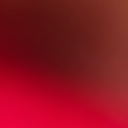 Rottweiler Pups Available 