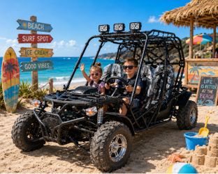 Fully Assembled Gokart200CC with Reverse