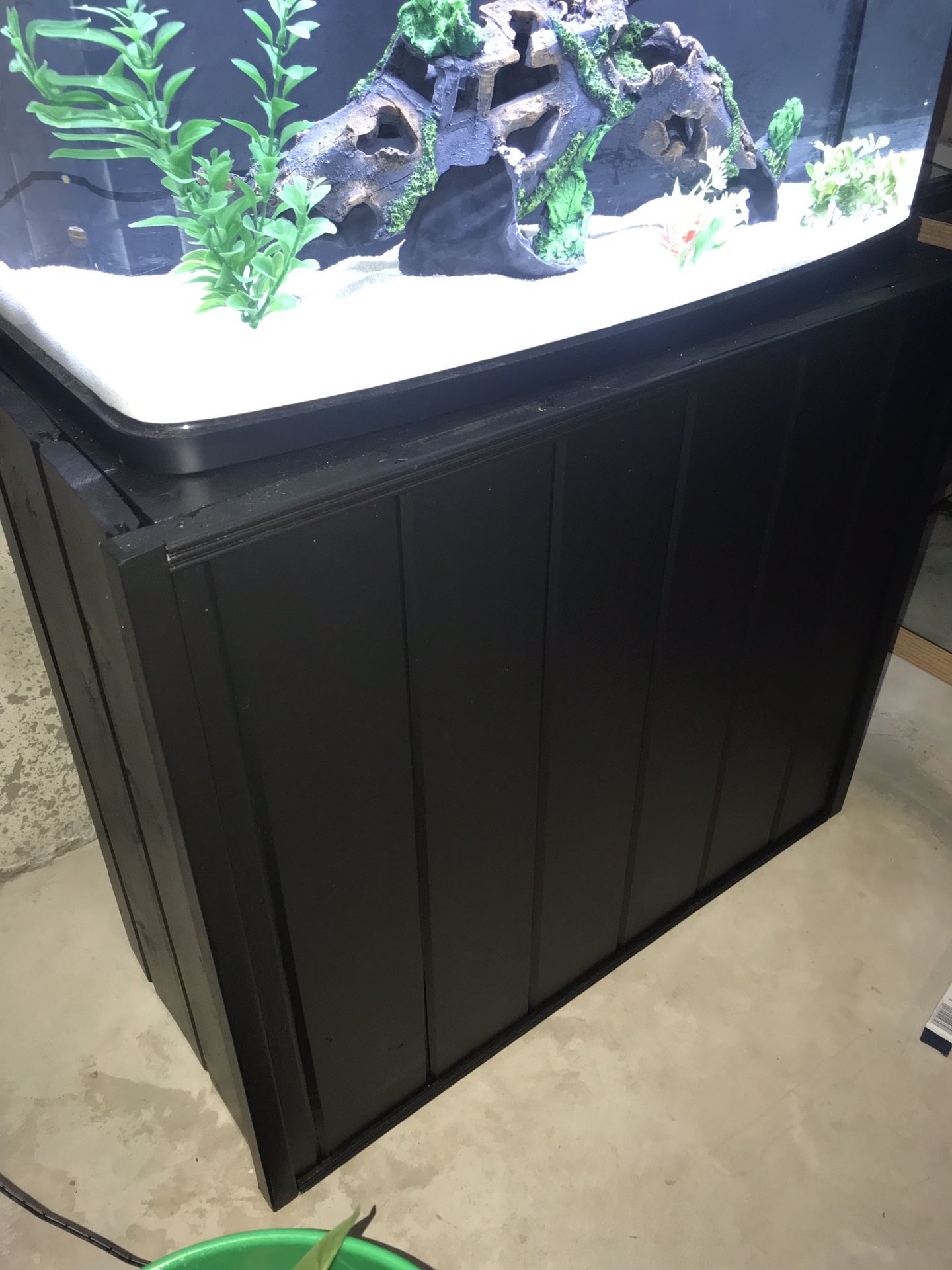 23 gallon curve front fluval vista Fish tank/aquarium and stand for ...