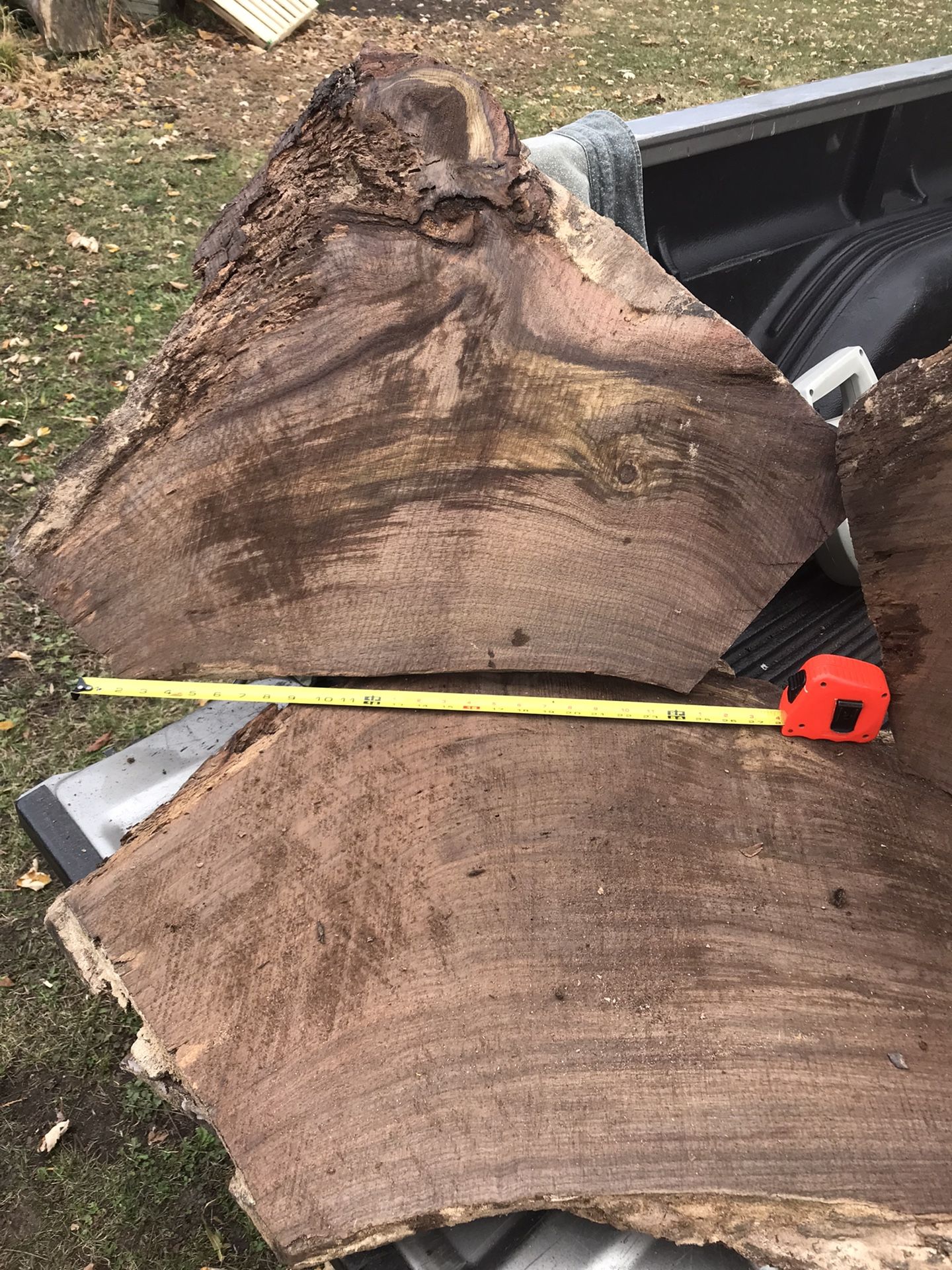 Walnut Root Slabs
