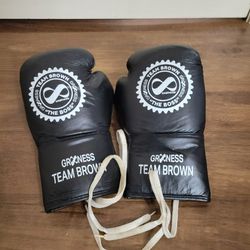 Training Gloves 