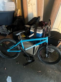 Blue Sunday Primer Bike