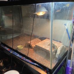 Reptile/ Fish Tank 300 OBO 