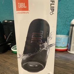 Black JBL Flip 6 