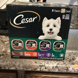 Cesar canned food for puppys       Comida suave para perritos