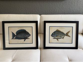 2 Art Frames Fish Decor