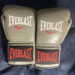 10oz Everlast boxing gloves 
