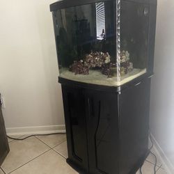 32 Gallon Bio Cube Saltwater Tank 