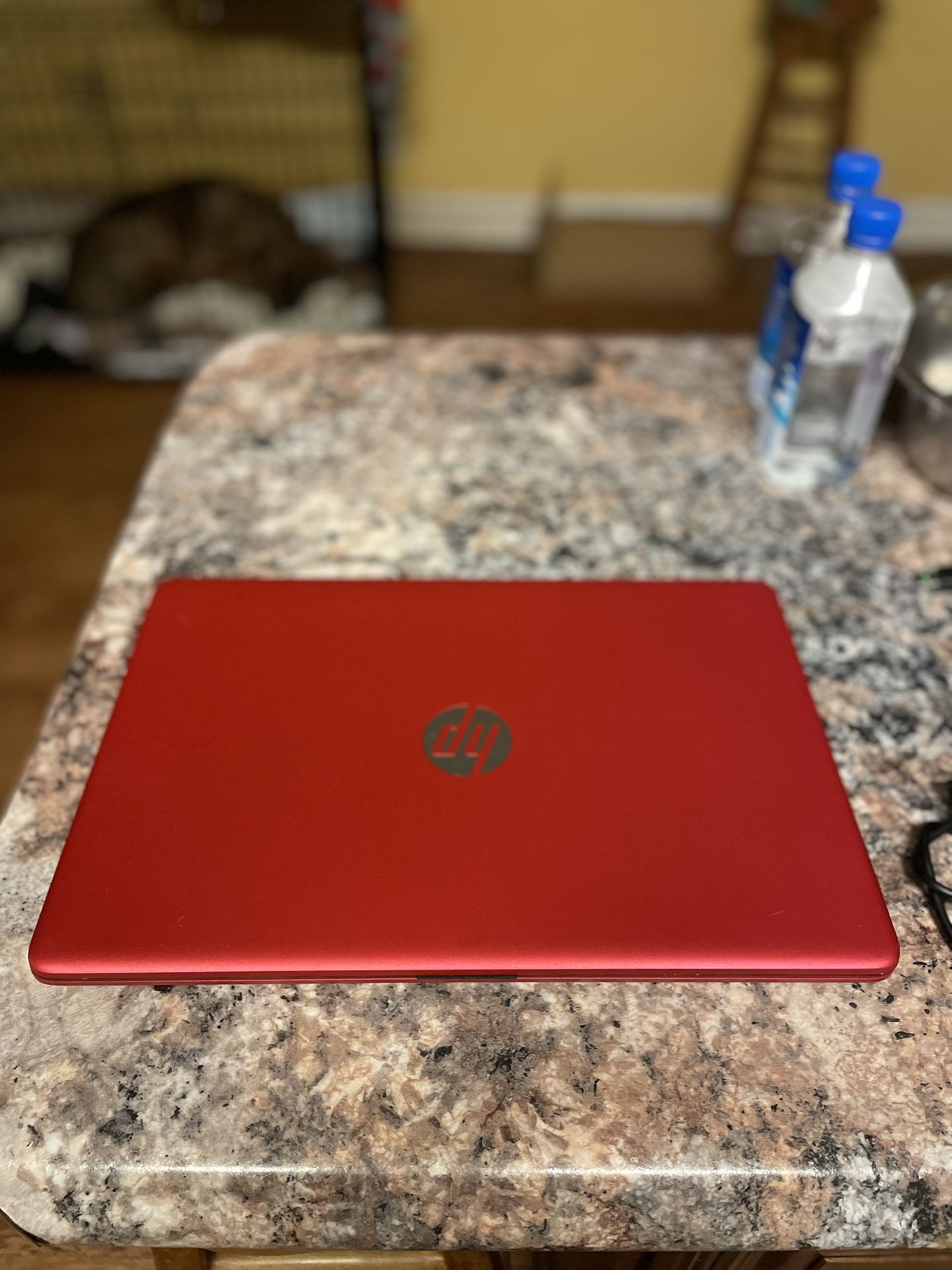 Hp Laptop Windows 11 