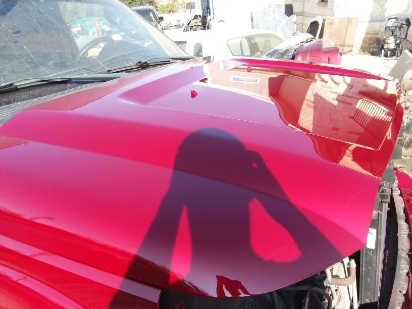 CANDY PAINT ... CHAMILLION FLAKES PATTERNS ETC ... CUSTOM PAINT WORK
