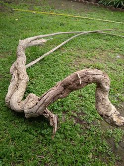 Natural Driftwood For Aquariums Terrariums Decor