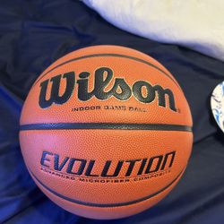 Wilson Evolution Basketball