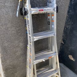 Gorilla Ladder