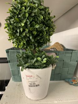Faux Plant 