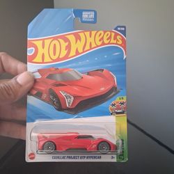 Hot wheels 1.64 scale Cadillac project gtp hypercar