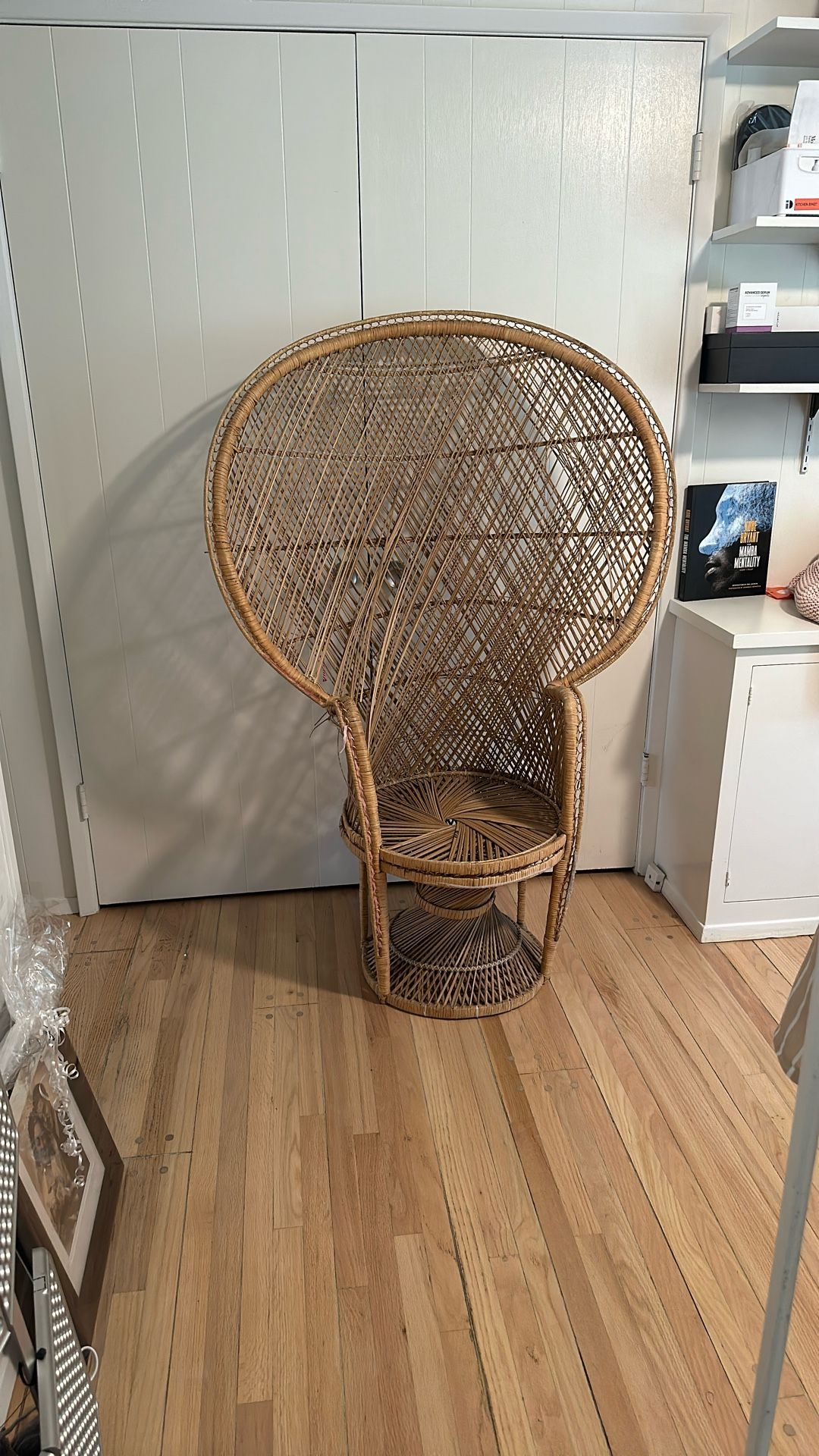 Peacock Chair